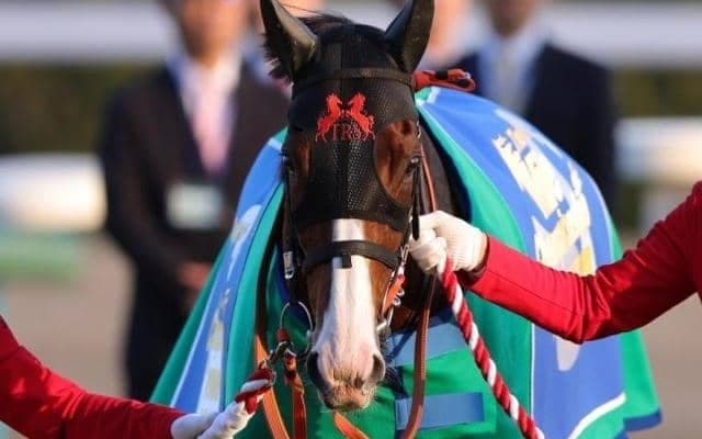 昨年マイルCS覇者ナミュールの半妹 C.ルメール騎手を背にきょうだい4頭目の初陣V狙う