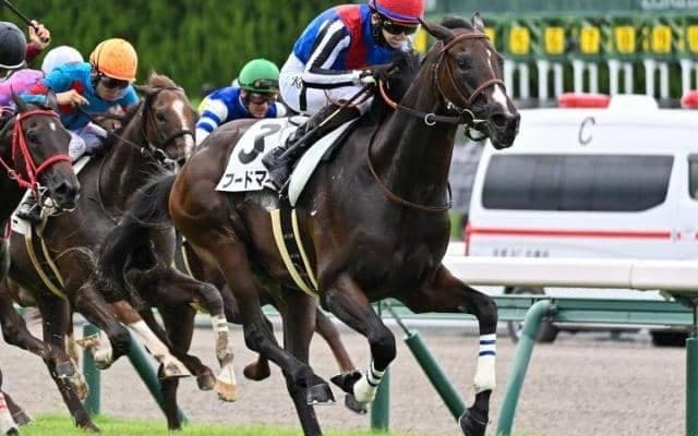 3か国マイルG1制覇の父を持つ血統馬 サウジアラビアRCを制し大舞台への第一歩とできるか