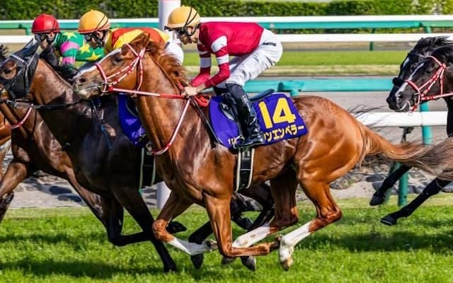 【仏・凱旋門賞枠順】日本のシンエンペラーは11番ゲート、武豊騎手騎乗のアルリファーは9番ゲート