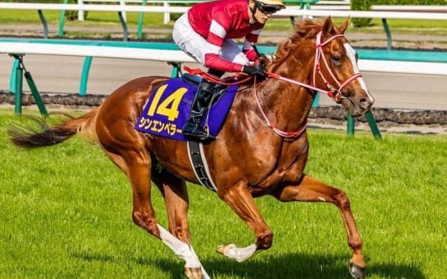 日本馬にかかる凱旋門賞の記録 勝てば史上初のきょうだい制覇