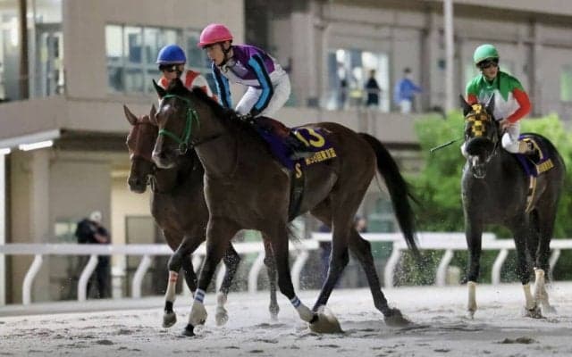 【東京盃】笹川「ファイトする感じがなかった」兵庫イグナイターは6着