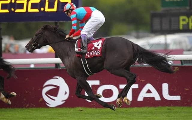 悲願の凱旋門賞制覇に挑む武豊騎手 これまでの参戦を振り返る