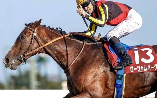 【毎日王冠枠順確定】ローシャムパークは6枠9番、シックスペンスは7枠11番