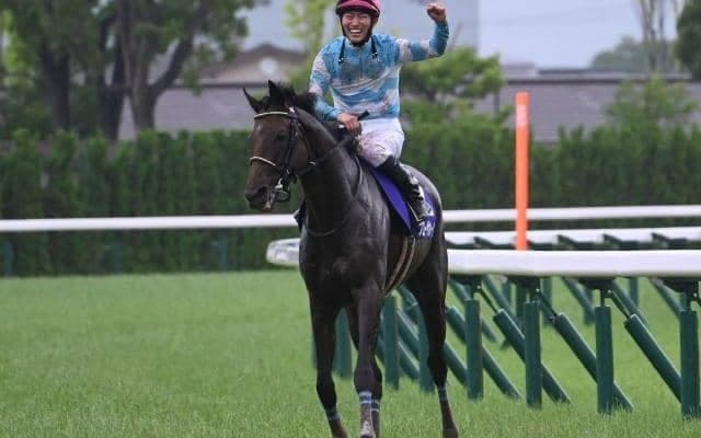 【京都大賞典枠順確定】ブローザホーンは8枠11番、プラダリアは7枠8番