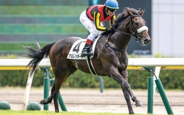 【サウジアラビアRC枠順確定】アルレッキーノは3枠3番、フードマンは7枠7番