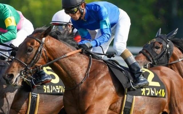 3歳馬が出走機会4連覇中 今年もラジオNIKKEI賞覇者が毎日王冠に参戦