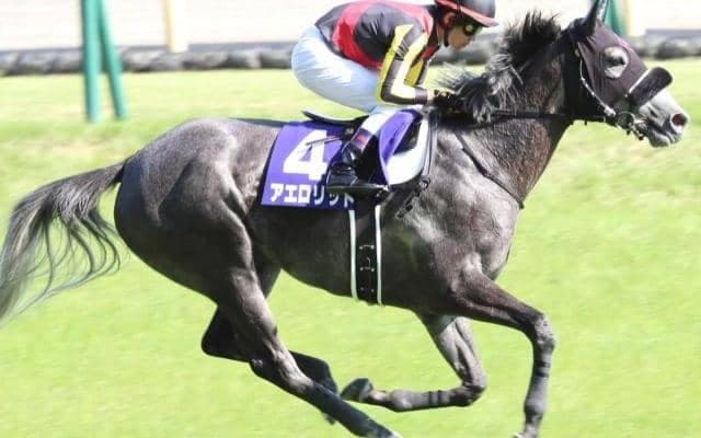 NHKマイルなど重賞3勝アエロリットの半弟 C.ルメール騎手を鞍上に姉に続く初陣Vへ