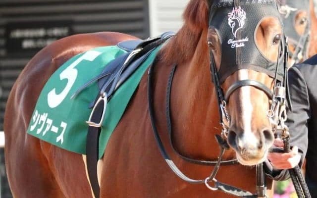 “ハマの大魔神”ゆかりの良血馬 tvk賞でキャリア初の2000m戦に挑戦