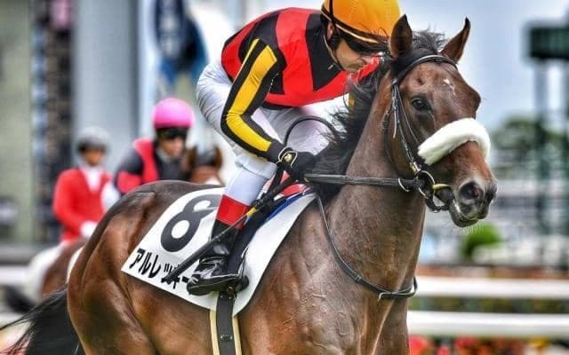 【今日の注目ポイント】東京で2歳馬の登竜門サウジアラビアRC