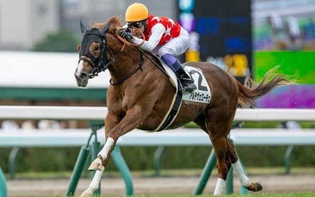 【サウジアラビアRC予想】出世レースとして名高い一戦 求められるのは“スピード”と“瞬発力”