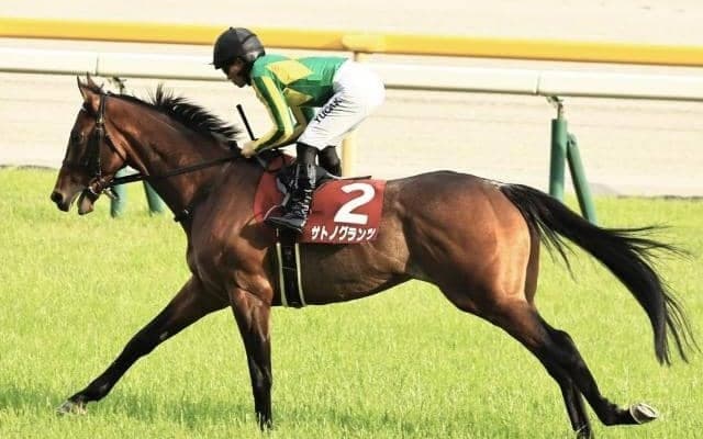 【京都大賞典予想】伝統の一戦は前走の距離で明暗が分かれる!? 重賞2勝の実力馬の好走を阻む消しデータとは