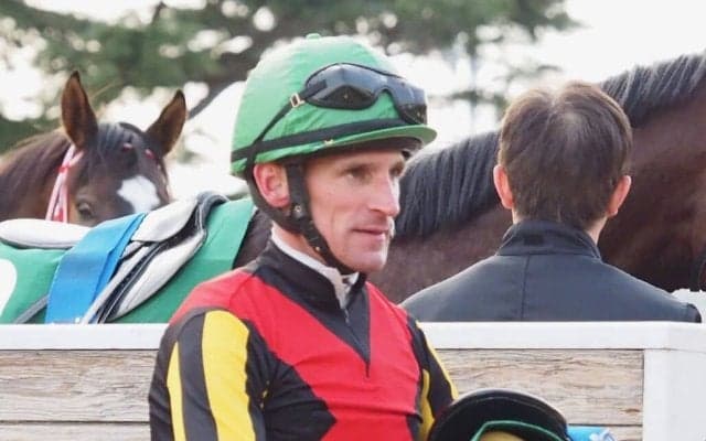 【りんどう賞】シュタルケ騎乗 ヴーレヴーが2勝目…リリーフィールドは競走除外