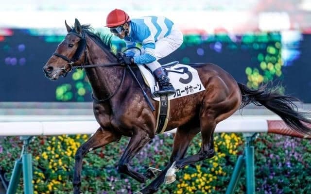 【京都大賞典前日オッズ】ブローザホーンが2.9倍で1番人気