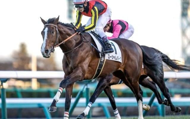 【AI予想・毎日王冠】1番人気が圧倒する伝統の一戦！ 人工知能の本命は世界進出を見据える実力馬