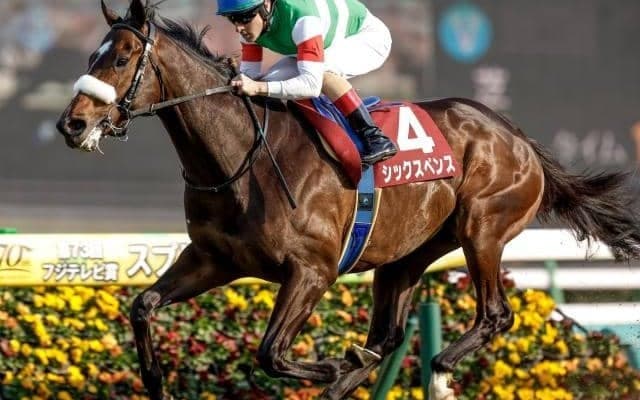 【今日の注目ポイント】東京で毎日王冠、京都で京都大賞典、フランスで凱旋門賞