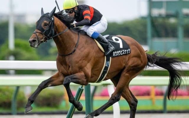 【毎日王冠予想】各路線から秋の大舞台を目指す馬たちが集結 広いワンターンコースを制するのは？