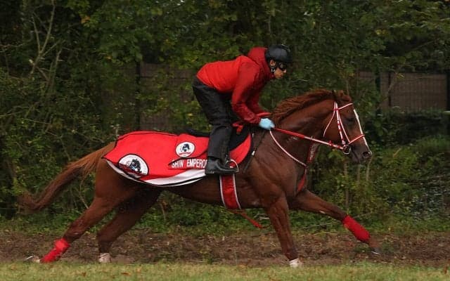 凱旋門賞に挑むシンエンペラーの状態はいかに!?　そして悲願達成への「意外な」ライバルとは？