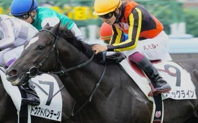 半姉はGI・3勝マイルの名牝 ソニックラインがダート替わりで2勝目なるか