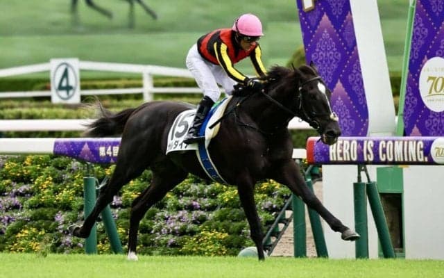 【新馬/東京5R】アエロリット半弟 ガルダイアが人気に応える