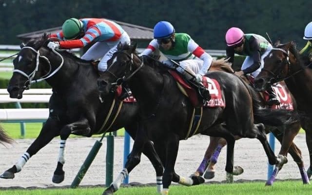 【京都大賞典結果】シュヴァリエローズが重賞初制覇 1番人気ブローザホーンはシンガリ11着に