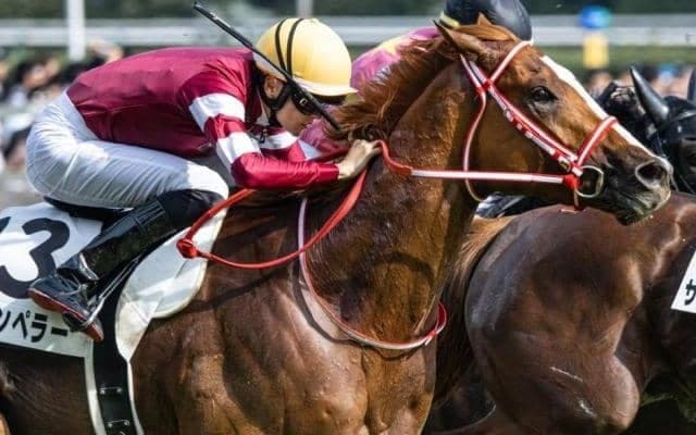 【凱旋門賞】国内外オッズ比較 シンエンペラーは国内4.7倍、海外8.5倍