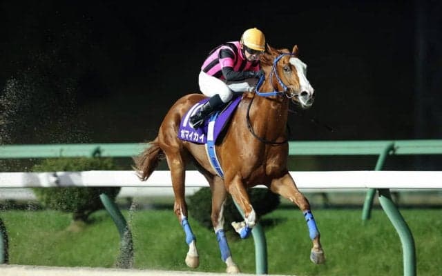 【ネクストスター盛岡】ポマイカイが重賞初制覇…高松「最高の形で勝てた」