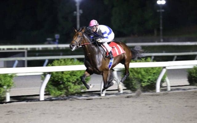 【高知・潮菊特別】リケアカプチーノが4馬身差完勝…赤岡「楽に追走できた」