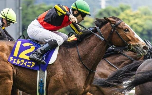 3日間開催中日に牝馬三冠最終戦・秋華賞/今週の競馬界の見どころ