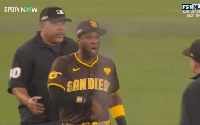 ドジャースvsパドレス戦がまさかの理由で試合中断…真剣勝負に水差すファンの暴挙にパ軍外野手がブチギレた瞬間「危なすぎる」