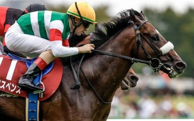 【毎日王冠】売上は71億626万9100円で昨年より約11.5億円減少