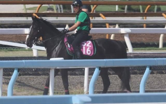 母は秋華賞馬ディアドラ 師も楽しみな初仔シオーグが月曜東京で初陣/関西馬メイクデビュー情報