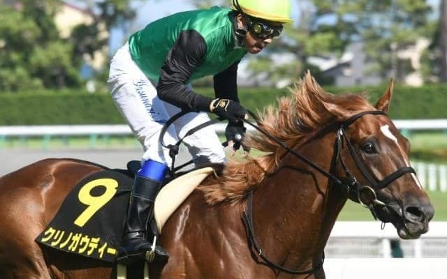 【先週のJRA抹消馬】“幻のGI馬”ことクリノガウディー、22年浦和記念の覇者クリノドラゴンなど