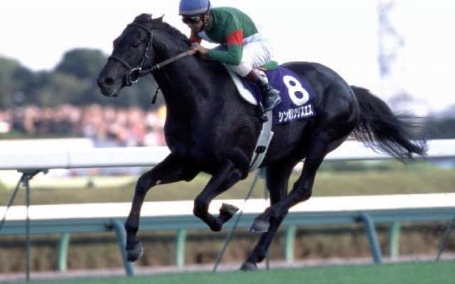 “レース史上最大着差”で有馬記念制したシンボリクリスエス 種牡馬としては芝・ダ兼用の晩成型