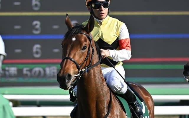 秋華賞史上初の珍事！「収得賞金400万円」「優先出走権なし」で出走可能に