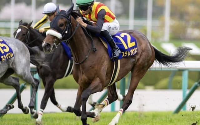 【秋華賞予想オッズ】ステレンボッシュが予想1番人気