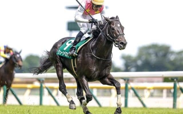 【東京HJ予想オッズ】ジューンベロシティが予想1番人気