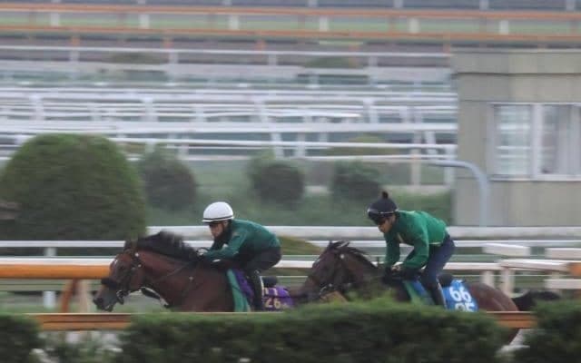 ベラジオオペラ、天皇賞(秋)2週前追い切り速報/栗東トレセンニュース