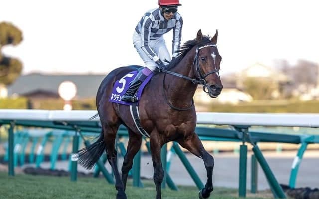 【天皇賞(秋)想定】ドウデュース、リバティアイランドなど11頭