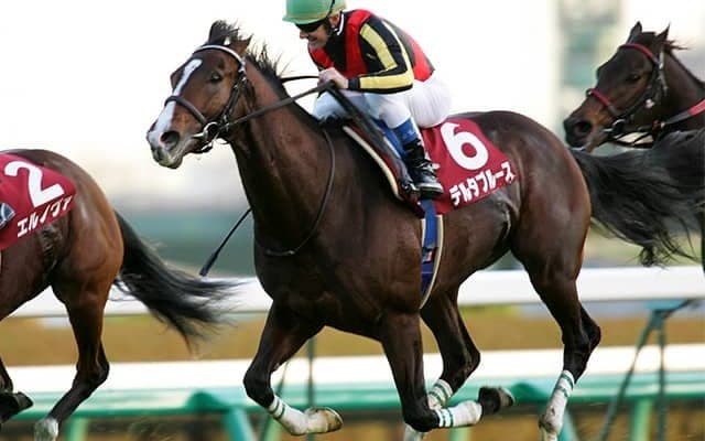 日本調教馬初のメルボルンC覇者デルタブルースが蹄葉炎のため死亡 23歳