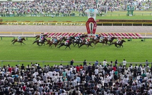 “GI初制覇”のトレンドは秋華賞も続くのか？　ダノンデサイルは半世紀ぶりのダービー・菊2冠に挑む【記録から読み解く秋GI展望】