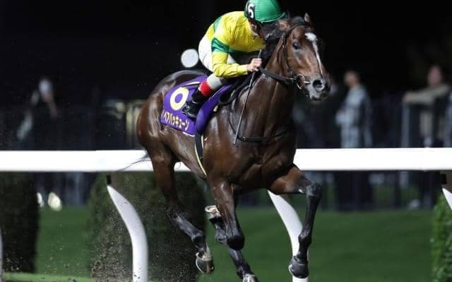 【川崎・鎌倉記念結果】ベアバッキューンが大差圧勝で無傷4連勝！