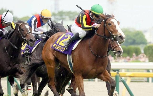 秋華賞の血統分析　圧倒的実績のキングカメハメハの血を持つ６頭のうち特に期待の２頭は？