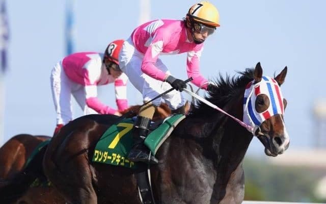 ワンダーアキュートが種牡馬引退 今後はYogiboヴェルサイユリゾートファームで功労馬に