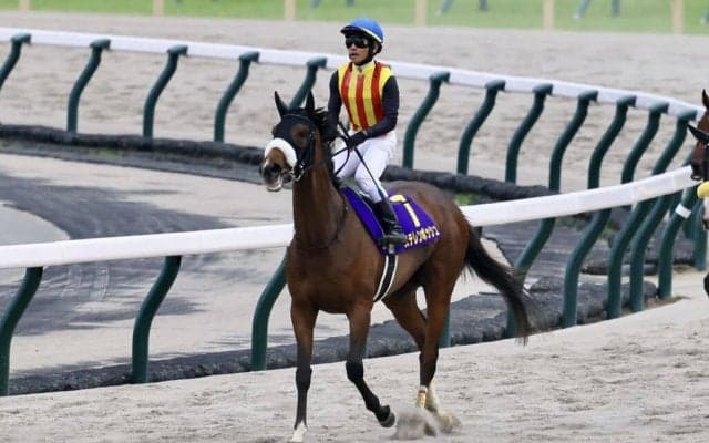 【秋華賞】調教後の馬体重…桜花賞馬ステレンボッシュはプラス20キロ