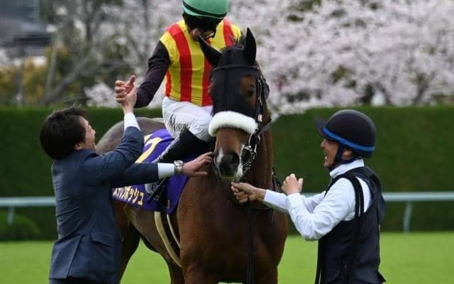 【秋華賞枠順確定】ステレンボッシュは8枠14番、チェルヴィニアは3枠5番