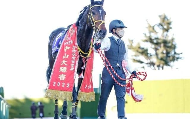 【東京HJ枠順確定】ニシノデイジーは6枠6番、ジューンベロシティは7枠7番