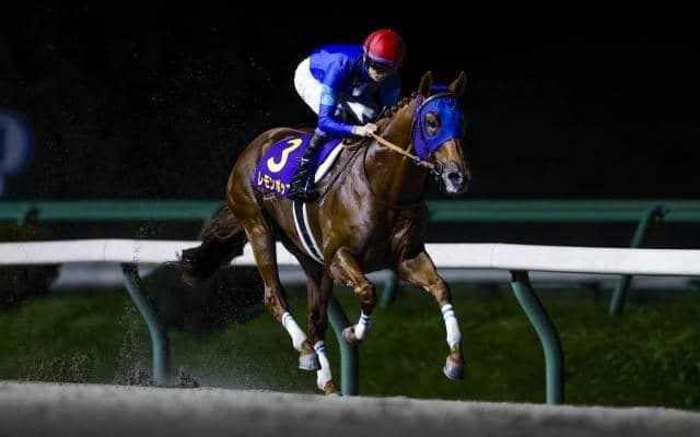 【盛岡・南部杯枠順】昨年大差勝ちのレモンポップは1枠1番、今年のフェブラリーS覇者ペプチドナイルは8枠14番