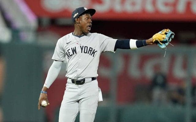 ヤ軍26歳がまた問題発言　乱闘寸前の騒動後に“挑発”…ファンも呆れた「球界一のピエロ」