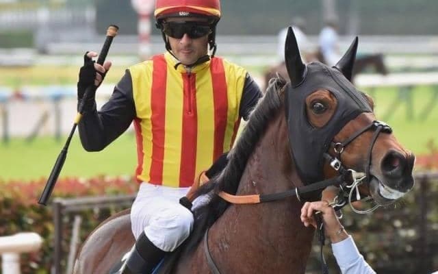 キャリア7戦4勝の“未完の大器” 屈腱炎から1年4か月ぶり復帰戦を勝利で飾るか