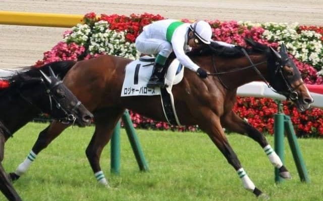 無念の早逝の兄へ吉報を届けるか “涙のダービー制覇”をともにした浜中俊騎手を鞍上に半弟が初陣V狙う